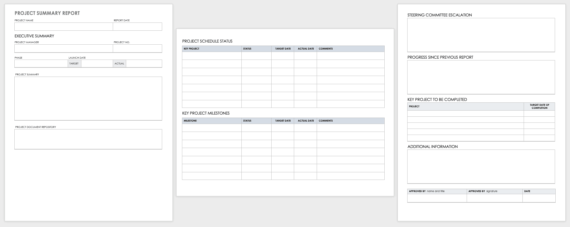 Project Summary Report Template