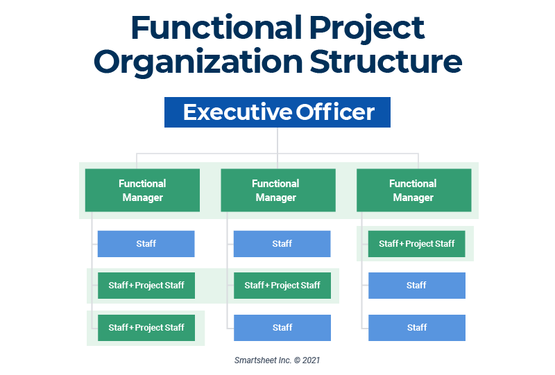 Functional Organization Structure