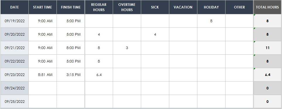 Timesheet Hours by Types