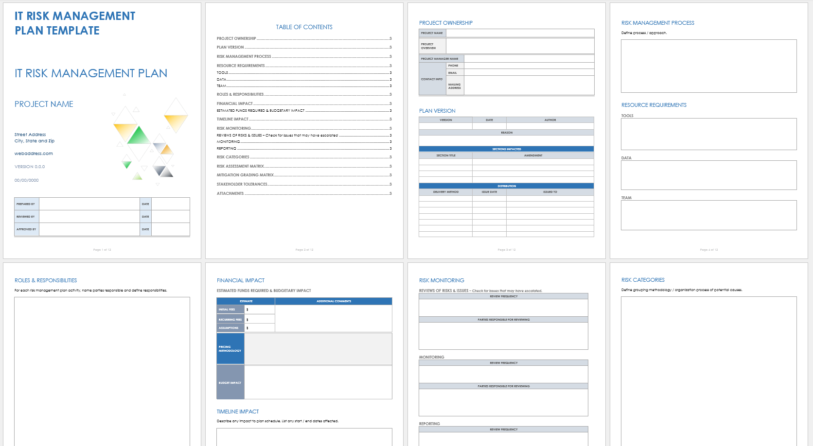 IT Risk Management Plan Template