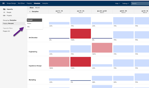 Modified Labels in Capacity View