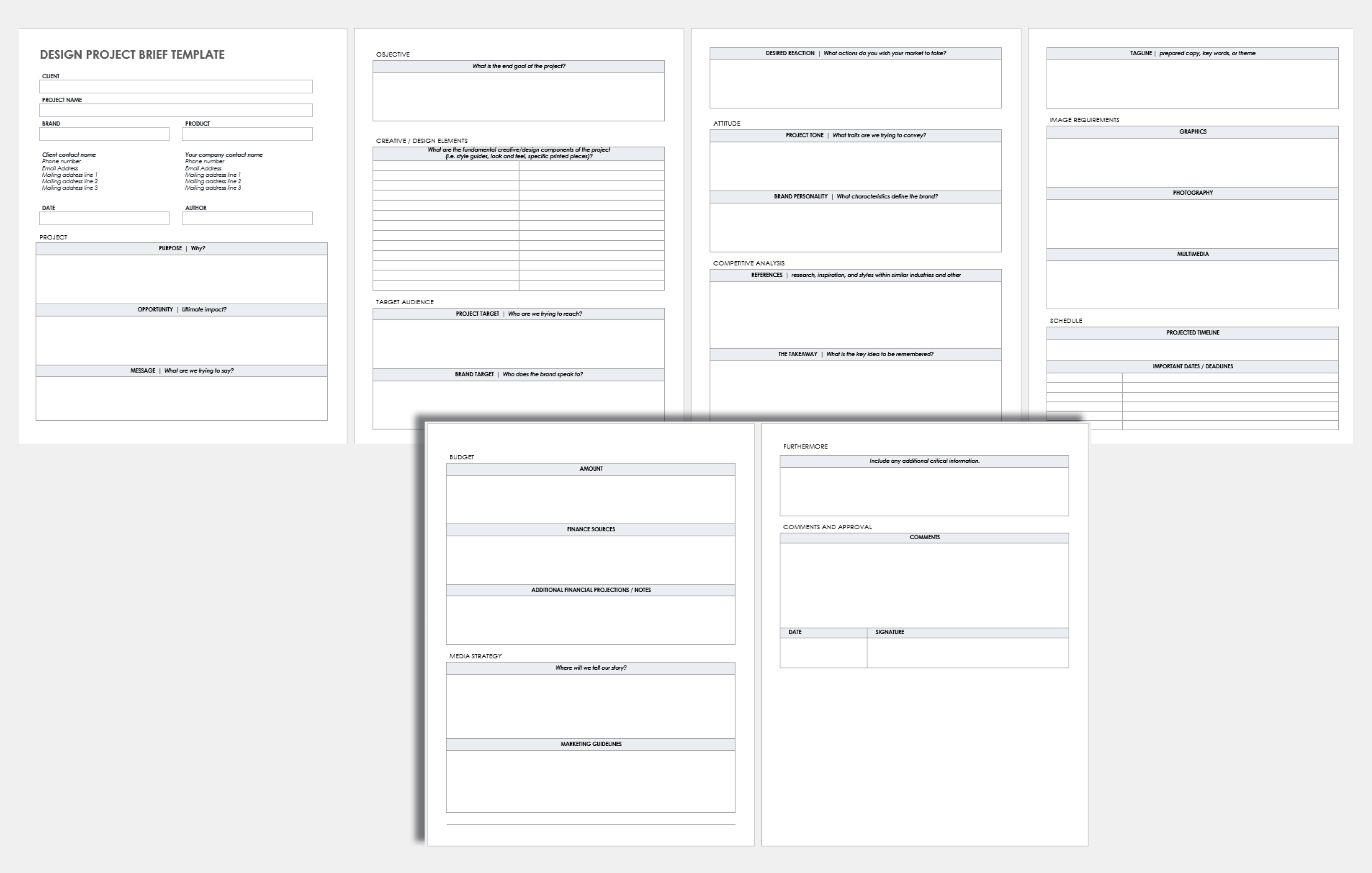 Design Project Brief Template